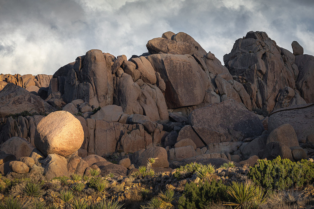 Desert Trophy
