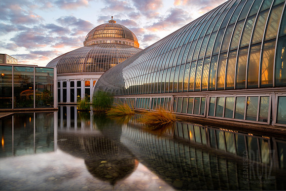 Conservatory Sunrise