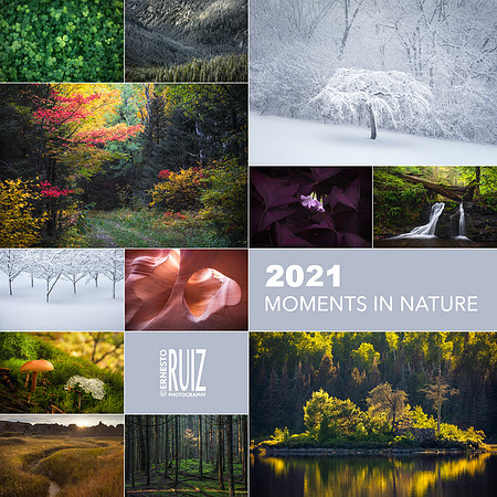 2021 Calendar (SOLD OUT!)