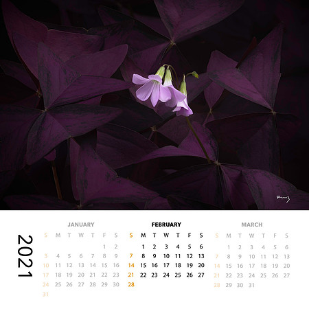 2021 Calendar (SOLD OUT!)