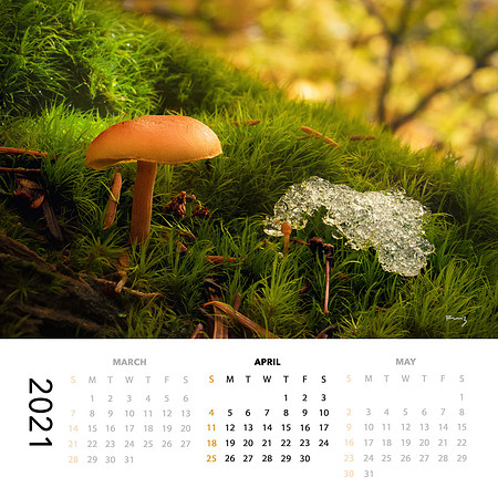 2021 Calendar (SOLD OUT!)