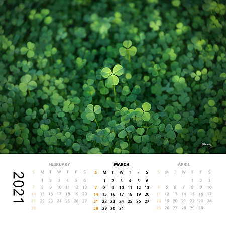 2021 Calendar (SOLD OUT!)