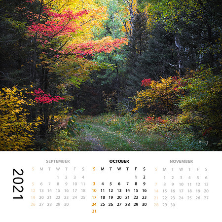2021 Calendar (SOLD OUT!)