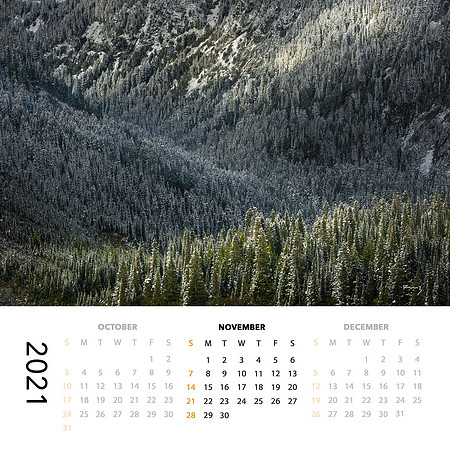 2021 Calendar (SOLD OUT!)