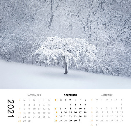 2021 Calendar (SOLD OUT!)